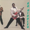 Bo Diddley - Pretty Thing